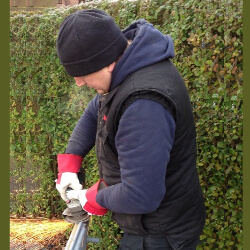 Ben Norton Author Picture